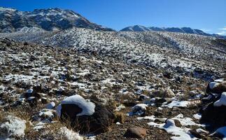 Snow in the mountains, Snow-covered mountain pass, desert plants under the snow in summer photo