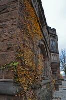 PRINCETON, NJ -15 NOVEMBER 2011 Princeton University is a Private Ivy League University in New Jersey, USA photo