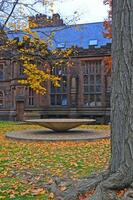 PRINCETON, NJ -15 NOVEMBER 2011 Princeton University is a Private Ivy League University in New Jersey, USA photo