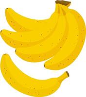 A bunch of yellow ripe bananas on white background. Ripe banana fruit. Perfect for food designs, healthy eating campaigns, and tropical themes. vector