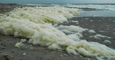 Dirty foam and water pollution and its eutrophication after filling the beaches with sand in the city of Odessa, Ukraine photo
