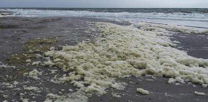 Dirty foam and water pollution and its eutrophication after filling the beaches with sand in the city of Odessa, Ukraine photo