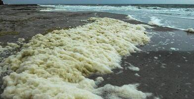 Dirty foam and water pollution and its eutrophication after filling the beaches with sand in the city of Odessa, Ukraine photo