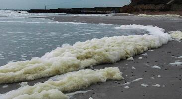 Dirty foam and water pollution and its eutrophication after filling the beaches with sand in the city of Odessa, Ukraine photo