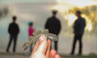 small fish goby in hand against the background of silhouettes of people in the evening near Lake Yalpug, Ukraine photo