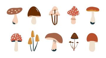 Simple flat set of various mushrooms vector