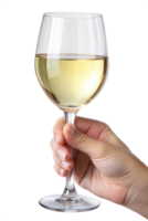 Hand holding wine glass with white wine, elegant drink for special occasions, transparent file png