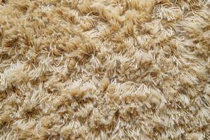 Textured cream carpet with plush fibers evoking warmth in a cozy living space photo
