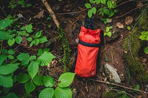 Vibrant orange bag resting among lush greenery in a forest setting during a peaceful afternoon photo