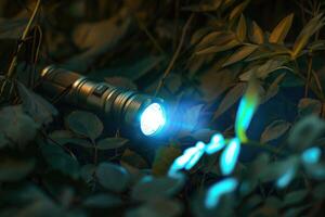 Flashlight illuminating green foliage at night in a forest setting photo