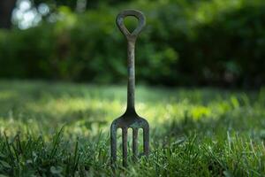 A rustic garden fork stands upright in lush green grass on a sunny day photo