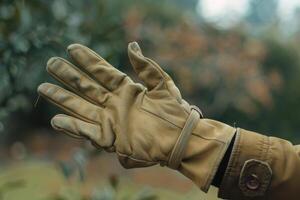 A hand wearing a leather glove reaches out in a garden during autumn photo