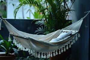 Relaxing hammock nestled among tropical plants during the late afternoon photo