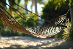 A serene hammock swaying gently amid lush greenery on a sunny day photo