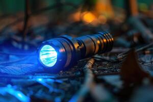 Blue LED flashlight on forest floor at night illuminating nearby plants and foliage photo