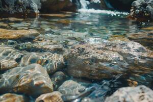 Clear water flowing over smooth stones in a serene creek surrounded by nature on a sunny day photo