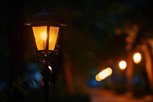 Warm glow of street lamps lighting a quiet pathway in the evening photo
