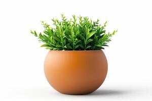Green indoor plant in a brown terracotta pot on a light background photo