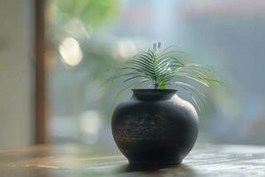 Simple indoor plant arrangement in a dark ceramic pot on a wooden table with soft natural light photo