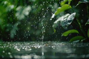 Rain falls gently on vibrant green leaves in a lush garden during a tranquil afternoon photo