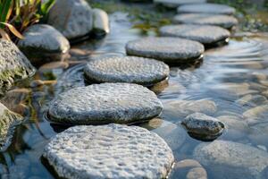 Pebble pathway leads through tranquil water garden at dawn photo