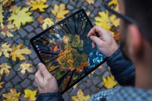 Person using a tablet to view a nature scene surrounded by fallen autumn leaves in a park photo