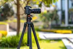 Camera on tripod set up in a sunny outdoor garden for photography in the afternoon light photo