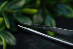 Close-up of sharp scissors against a backdrop of green foliage photo