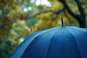 A blue umbrella covered in raindrops against a blurred backdrop of autumn foliage in a tranquil park photo