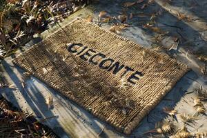 Doormat with the word welcome surrounded by fallen pine needles in a sunlit outdoor setting photo