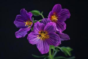 Vibrant purple flowers with intricate patterns against a dark background showcasing nature's beauty photo