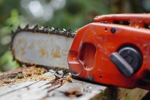 Chainsaw resting on a wooden log surrounded by greenery in a forest during late afternoon photo