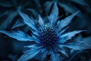 A close-up view of a striking blue flower in a serene garden during early morning light photo