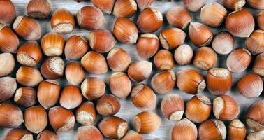 whole hazelnut kernels on wooden background photo