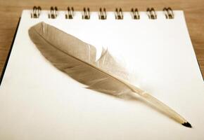 bird feather in the form of a pen on a white notebook photo