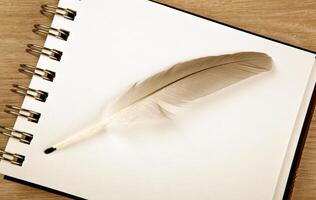 bird feather in the form of a pen on a white notebook photo