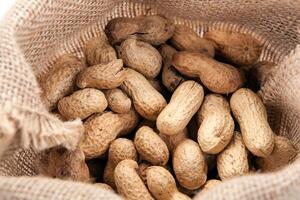 harvest of peanuts in the bag close up photo