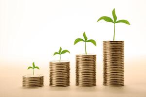 stacks of coins with sprouts make money photo