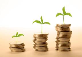 stacks of coins with sprouts make money photo