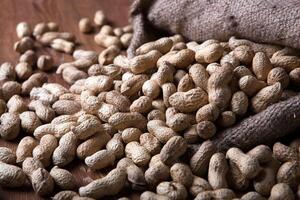 large grains of peanuts in the shell and the bag photo