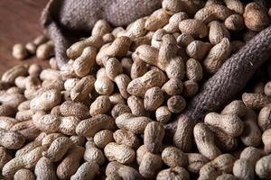 large grains of peanuts in the shell and the bag photo