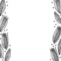 Hand drawn background with corn for text. Card with corn cobs, kernels. Agricultural crop, harvesting, healthy food. The image created without the use of any artificial intelligence software vector