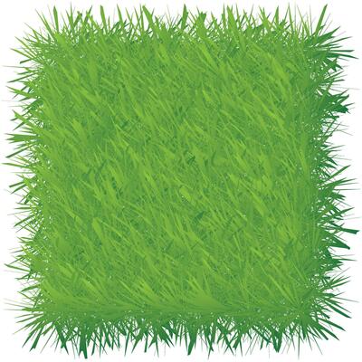 Green grass isolated on white background. 3D illustration. Green grass