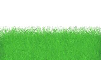 Green grass background with space for text or image illustration vector