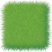 green grass texture background, green grass background, green grass texture background vector