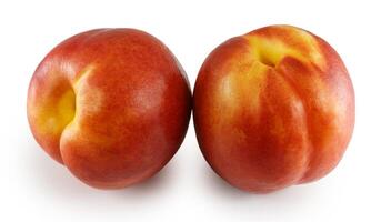 Nectarine fruit isolated on white background cutout photo