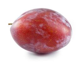 plums isolated on white background. photo