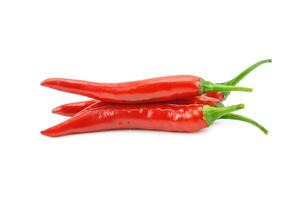 Red hot chili pepper isolated on a white background photo