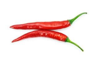 Red hot chili pepper isolated on a white background photo
