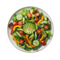 Salad with tomatoes, avocado, yellow and red capsicum and cucumber on a plate isolated from background png
